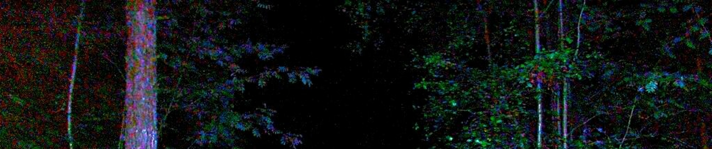 Banner for WXLVO
